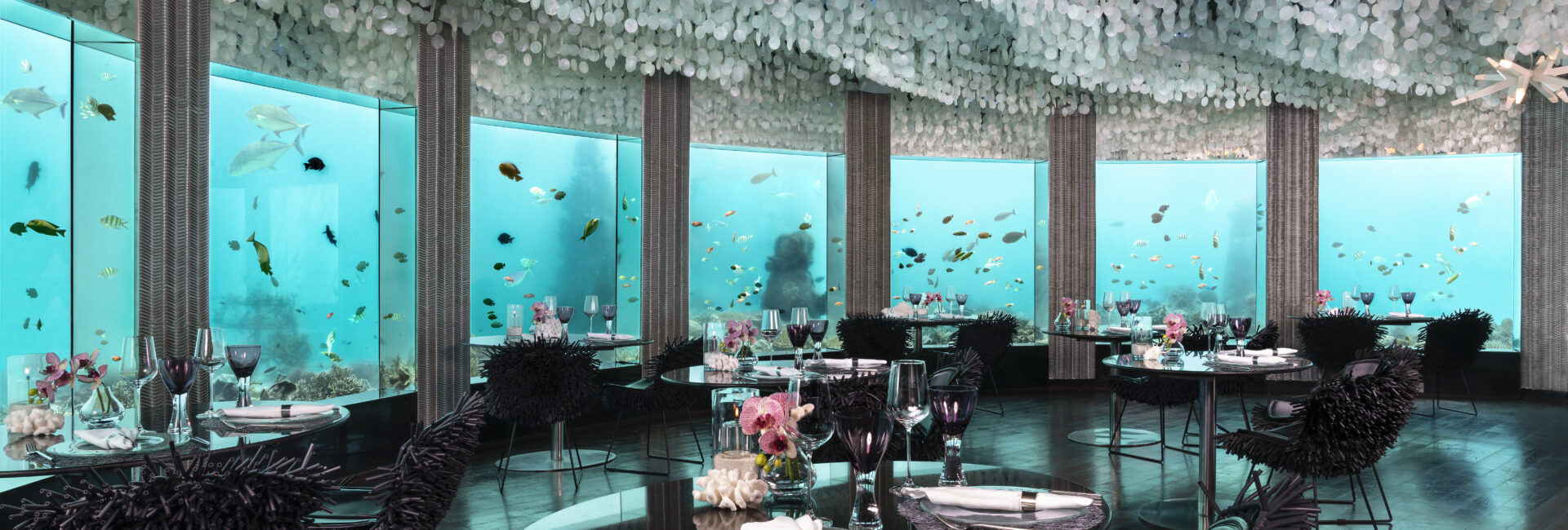 Niyama Private Islands - Restaurant