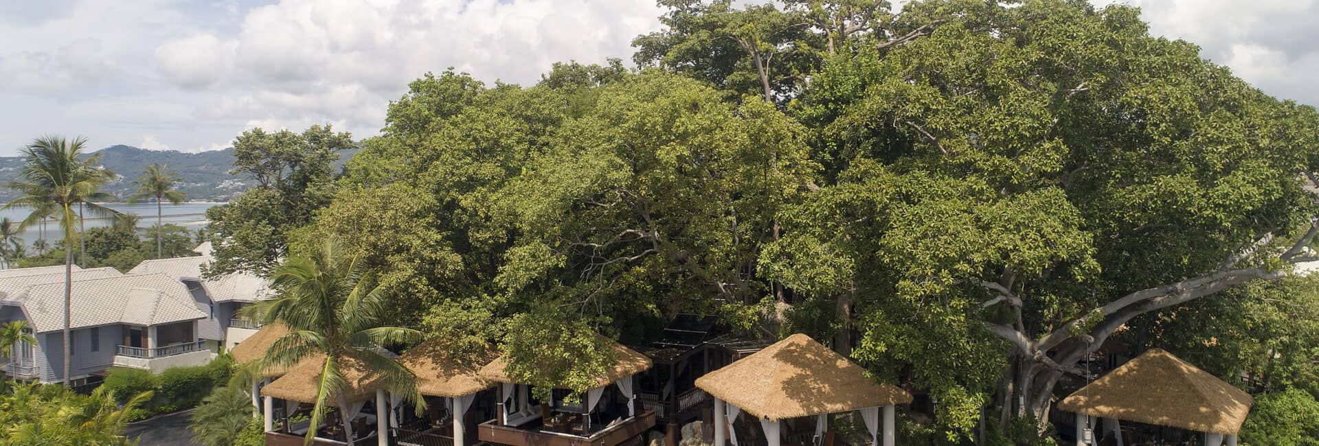 Anantara Lawana Koh Samui Resort - Tree Tops Dining
