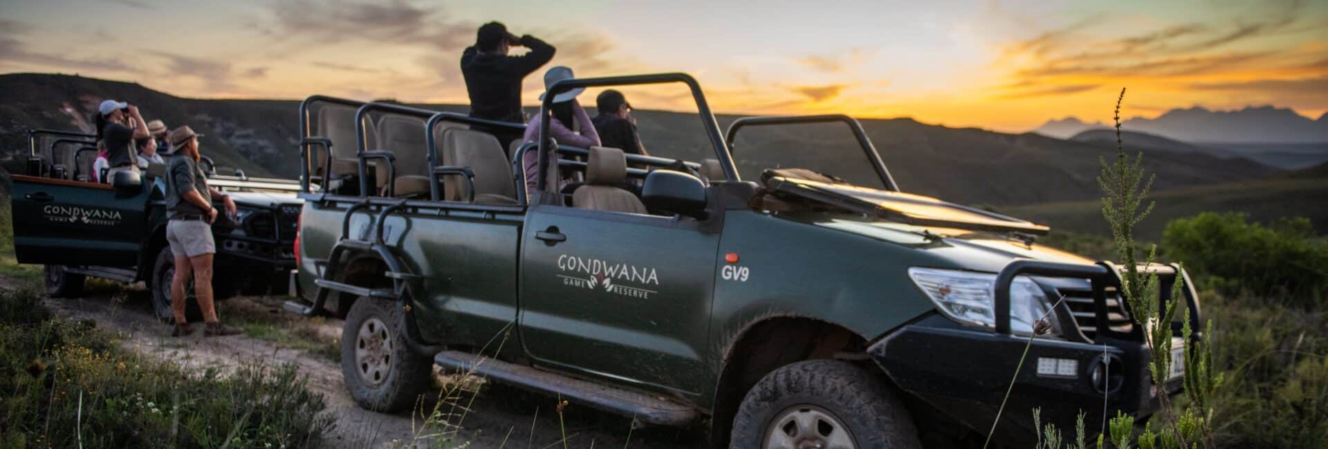 Gondwana Game Reserve - Game Drives