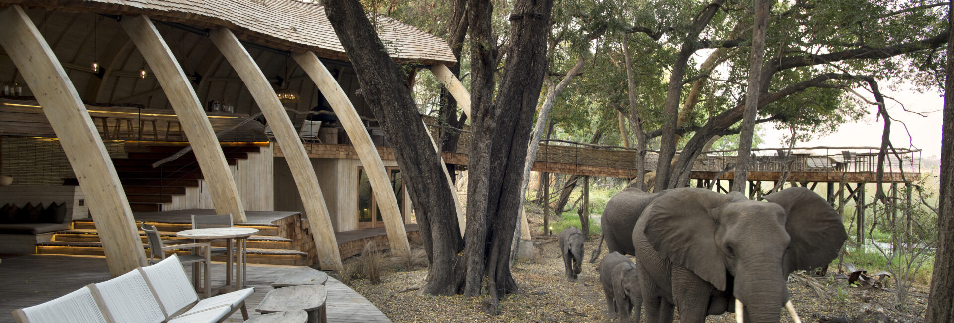 Botswana-Sandibe-Guest-Area-deck-and-elephants (1)