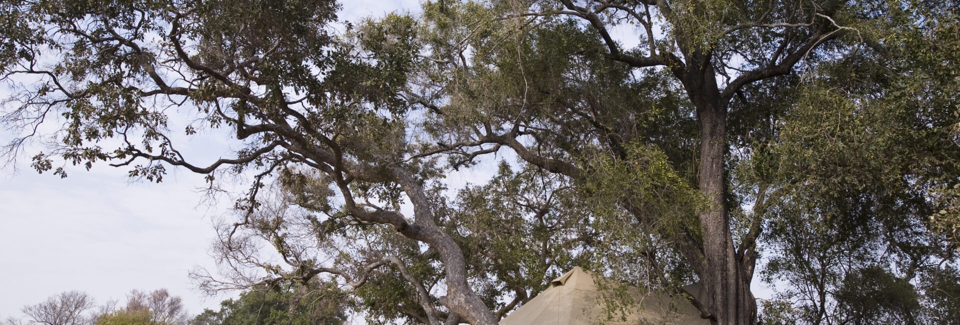 Botswana-Xaranna-Guest-Area-exterior-with-an-elephant (1)