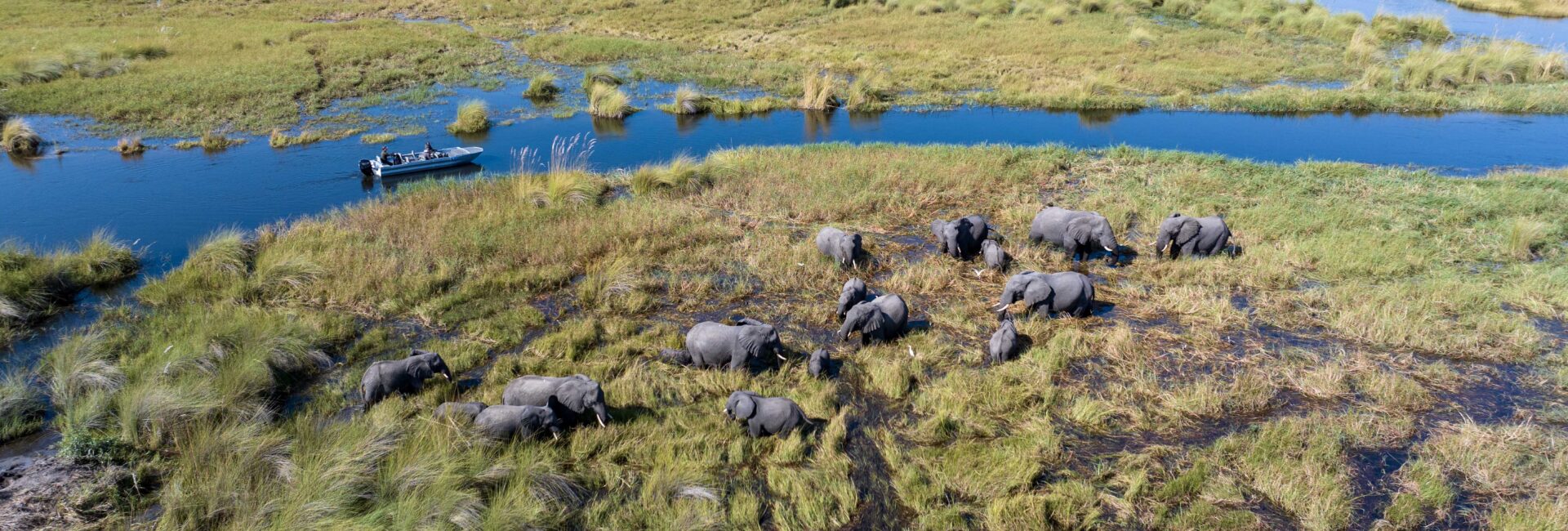 Noth Island - elephant
